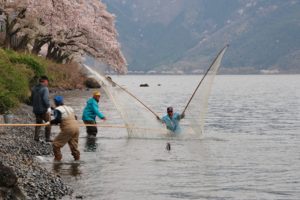 オイサデ漁