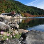 海津大崎を望む