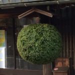 杉玉